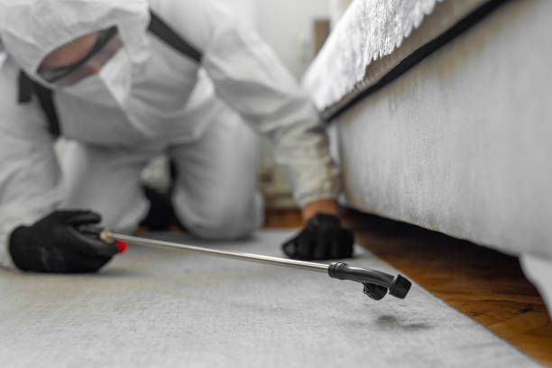 Professional Termite Control technician working in Halstead, KS