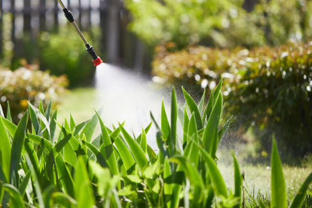 24/7 Emergency Termite Control experts in Halstead, KS