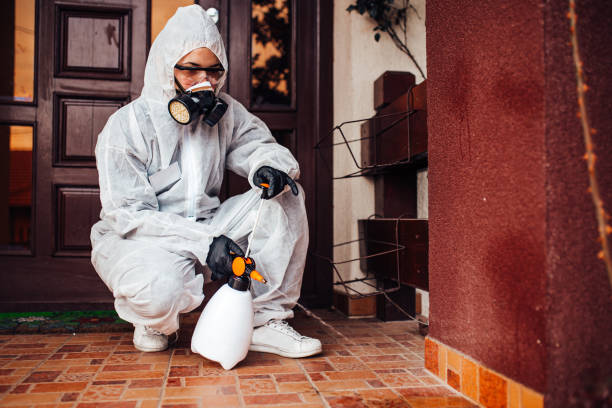 Reliable Termite Control contractor in Halstead, KS by Nex Pest Control