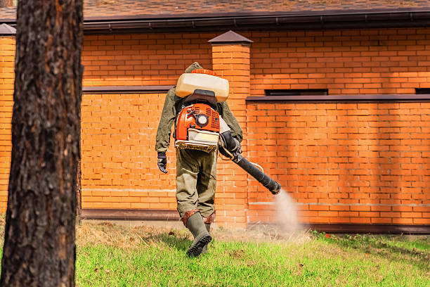 Top rated local Termite Control specialists in Halstead, KS